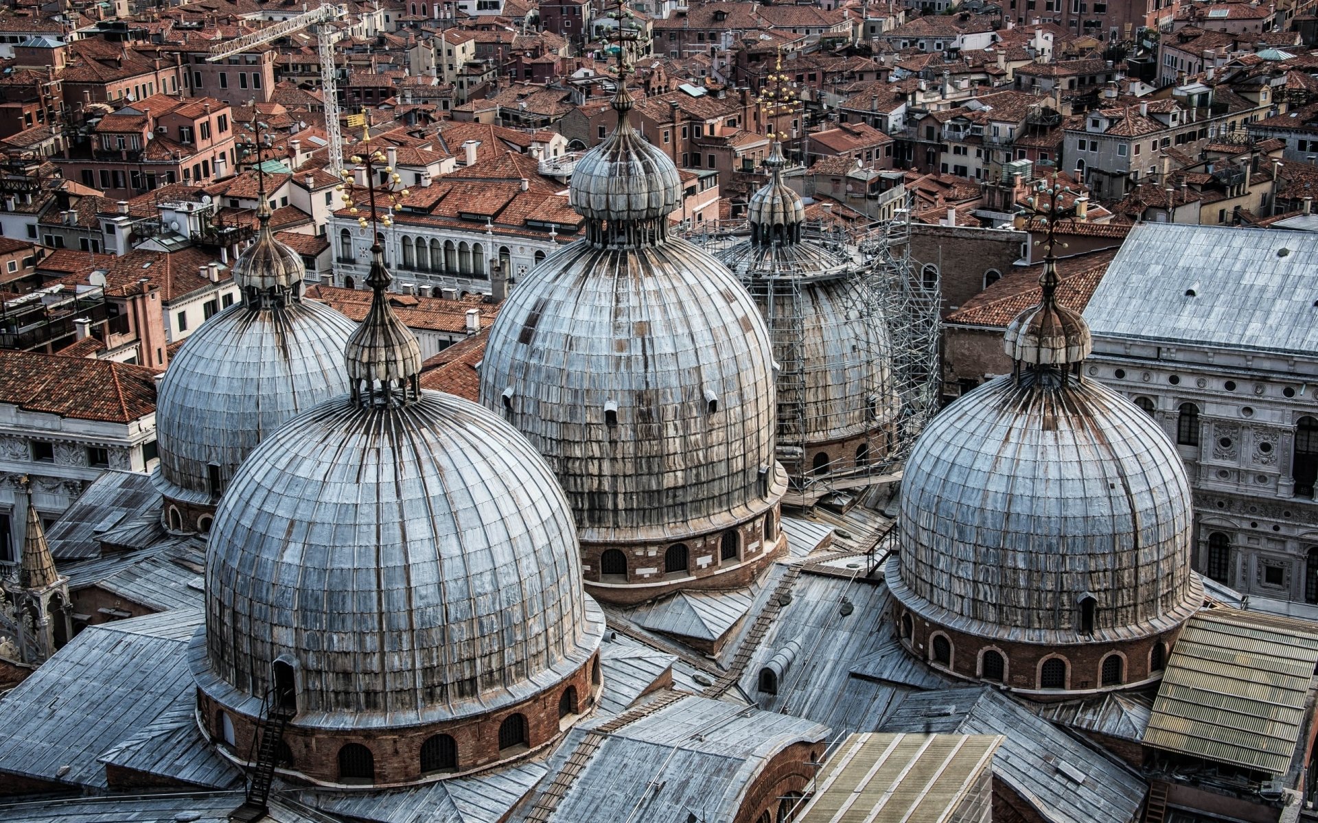 A detailed cityscape of Venice, Italy, showcasing the iconic man-made domes and rooftops in high-definition clarity for a striking desktop wallpaper.