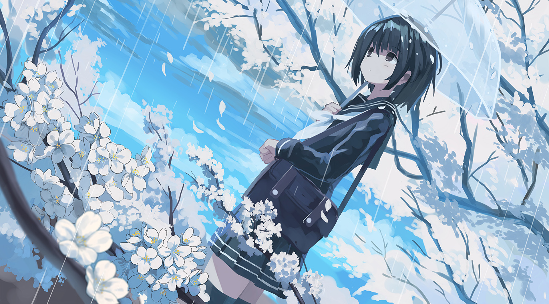 Anime scene of a girl under an umbrella amidst falling rain and cherry blossoms. HD wallpaper with a serene, picturesque atmosphere, blending soft pastel colors and detailed artwork.