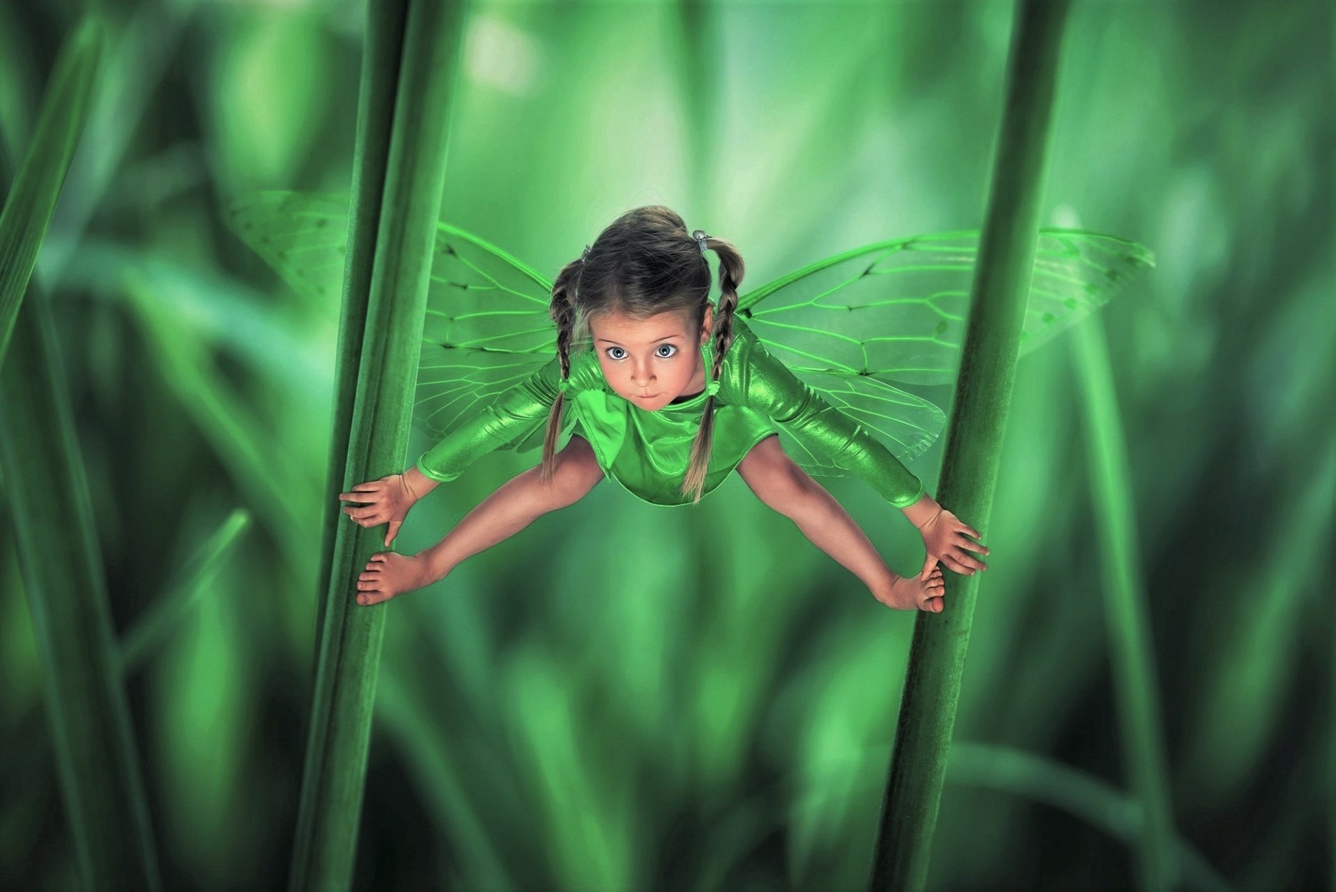 HD artistic wallpaper of a cute little girl transformed into a green fairy with delicate wings, surrounded by large grass blades in a magical, vibrant setting.