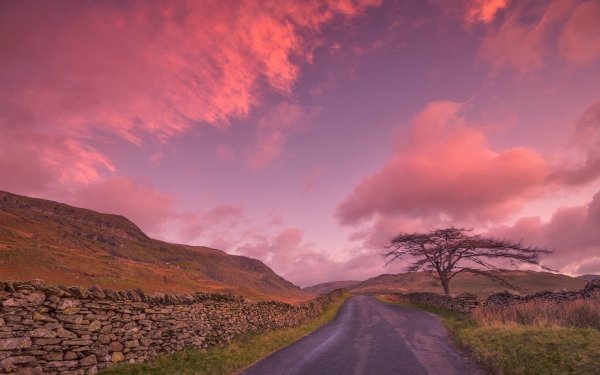 Man Made Road Nature Tree Sky Cloud HD Wallpaper | Background Image