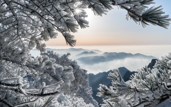 Earth Winter Nature Snow Landscape Mountain Horizon Fog HD Wallpaper | Background Image