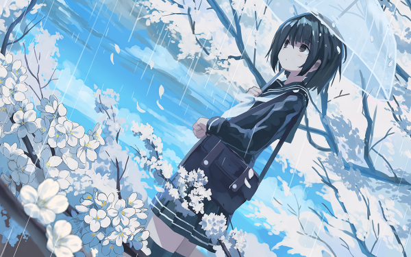Anime Original Cherry Blossom Rain HD Wallpaper | Background Image