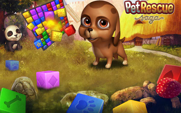  Pet Rescue Saga, Dog