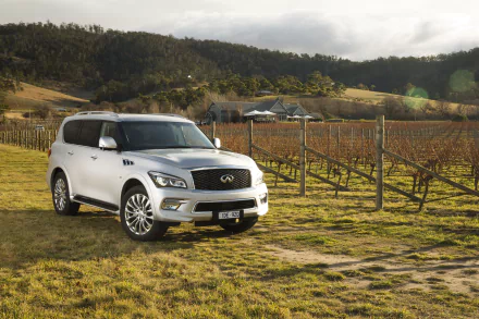 silver car SUV car Infiniti vehicle Infiniti QX80 HD Desktop Wallpaper | Background Image