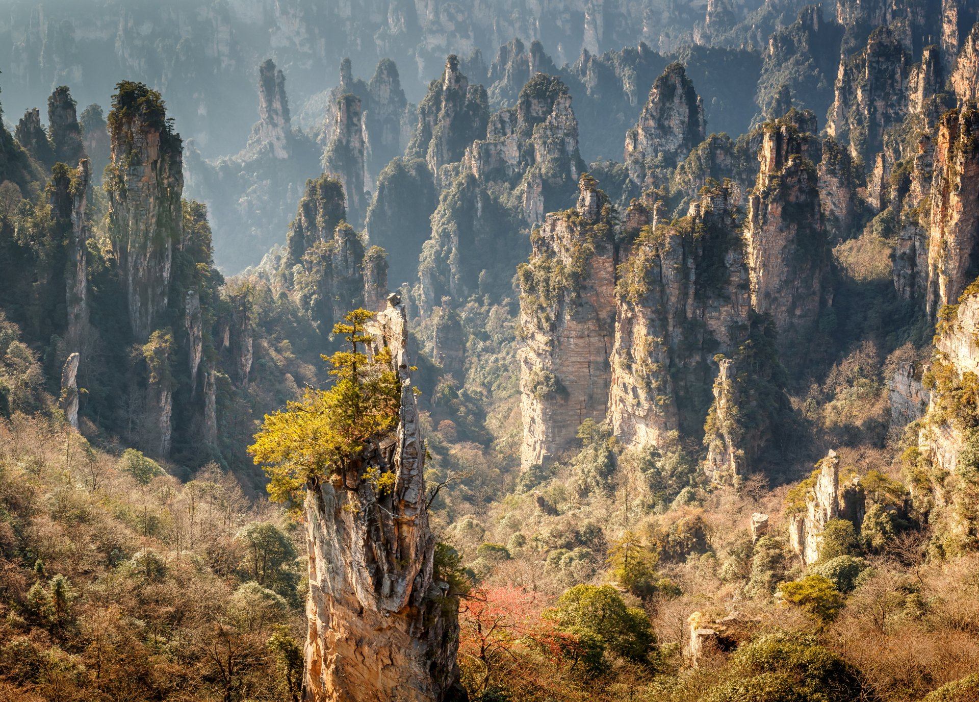 HD wallpaper featuring a breathtaking landscape of towering cliffs and lush greenery in China. The image captures the serene beauty of nature.