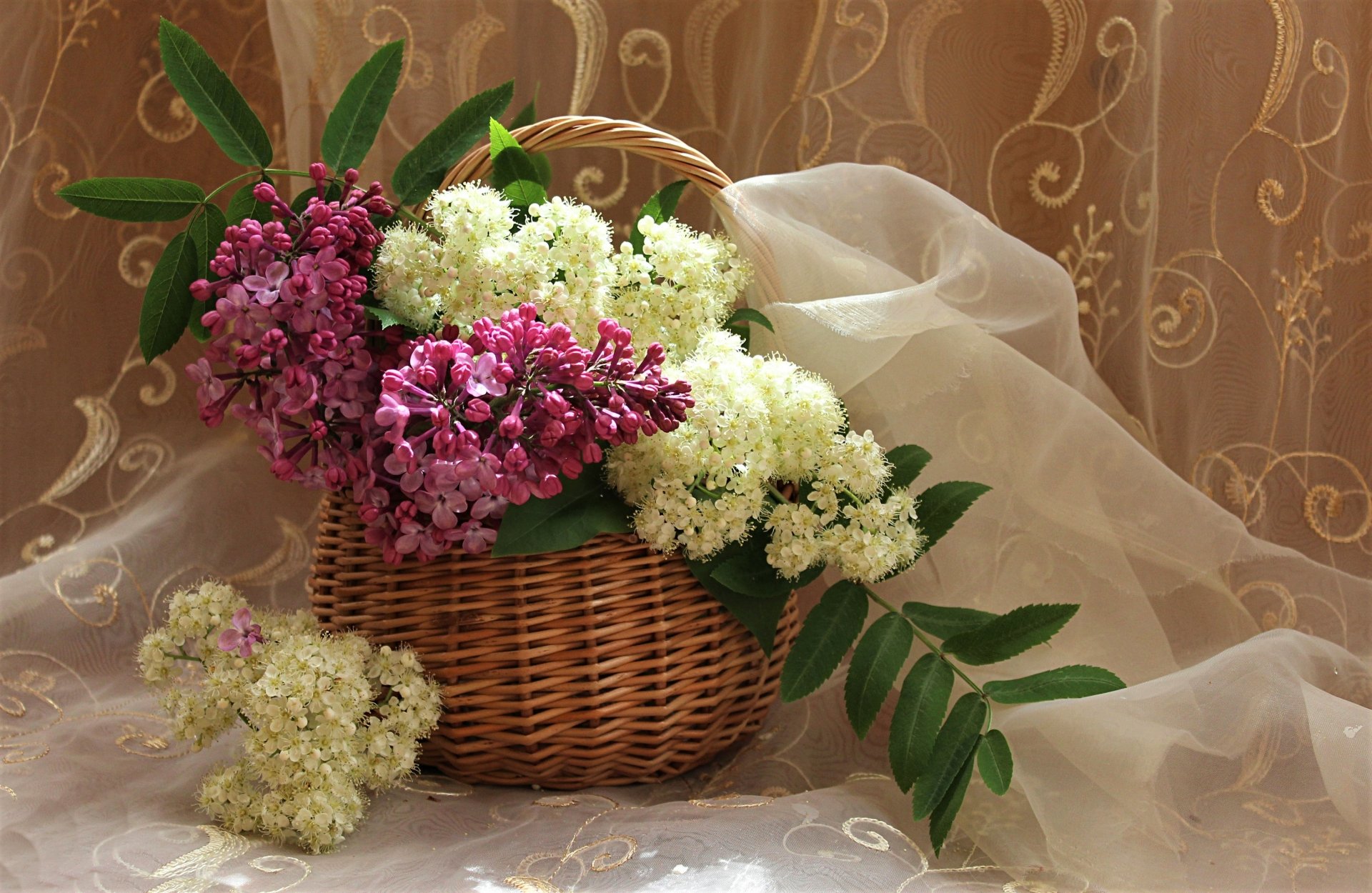 A wicker basket filled with pink and white lilac flowers, resting on a sheer curtain with green leaves, captured in vibrant HD still life photography.