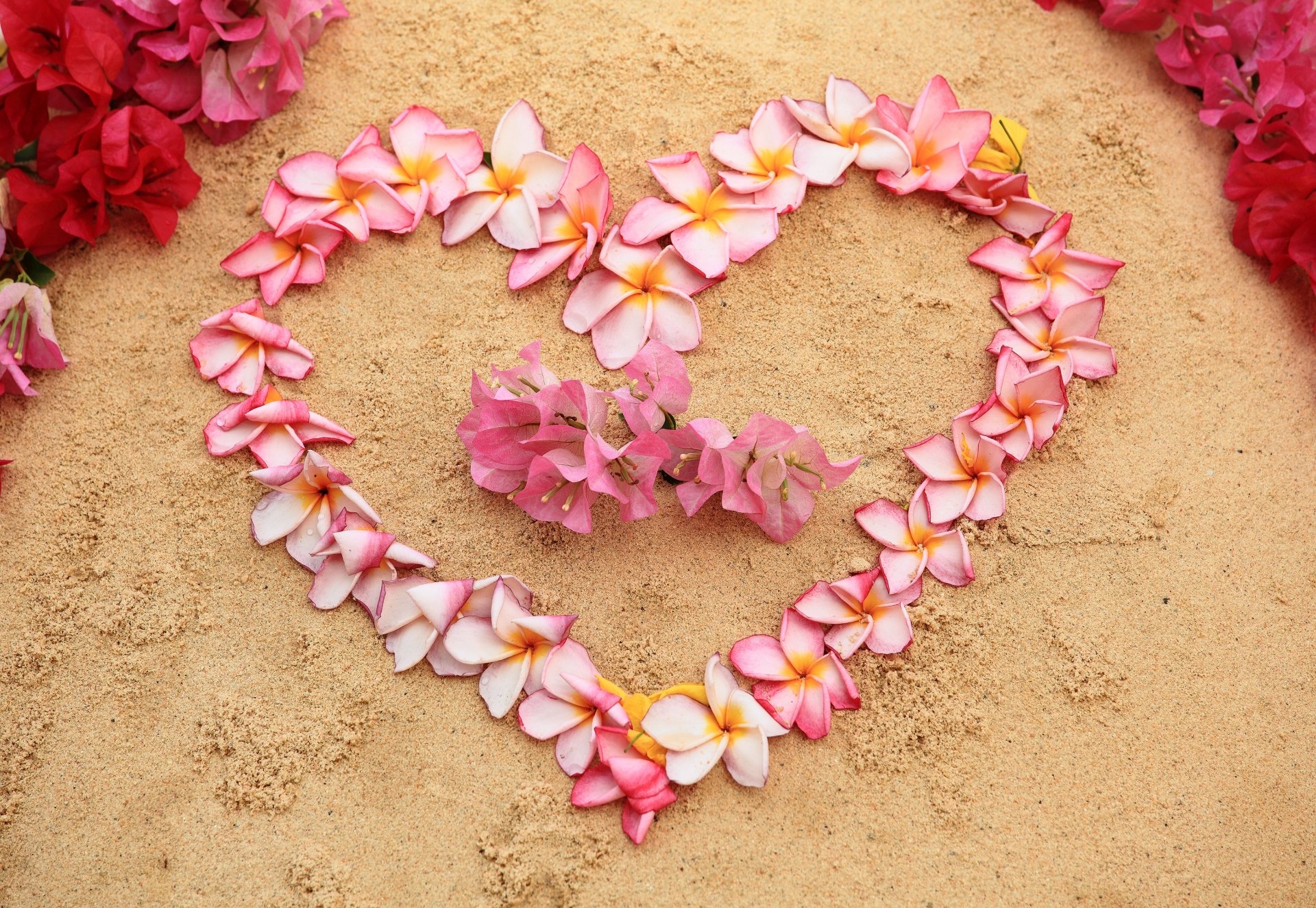 A heart-shaped arrangement of pink and white frangipani petals on sand, featuring a cluster of pink flowers, captured in vibrant 4K Ultra HD photography.
