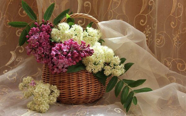 Photography Still Life Lilac Basket Leaf Curtain White Flower Pink Flower HD Wallpaper | Background Image
