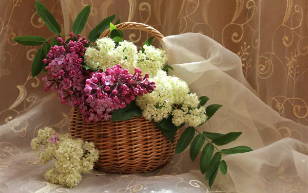 A wicker basket filled with pink and white lilac flowers, resting on a sheer curtain with green leaves, captured in vibrant HD still life photography.