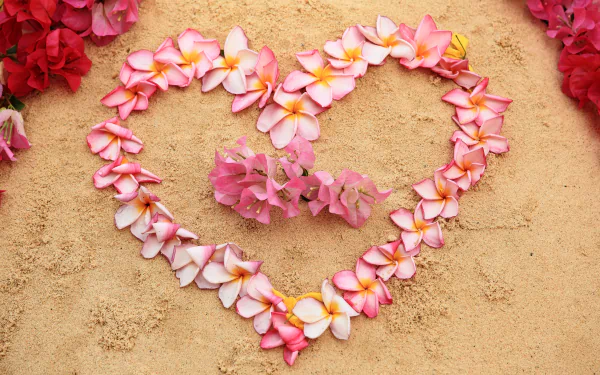 A heart-shaped arrangement of pink and white frangipani petals on sand, featuring a cluster of pink flowers, captured in vibrant 4K Ultra HD photography.