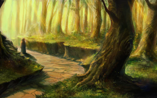 Anime forest anime forest HD Desktop Wallpaper | Background Image