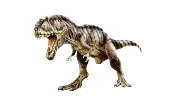 Animal Tyrannosaurus Rex HD Desktop Wallpaper | Background Image