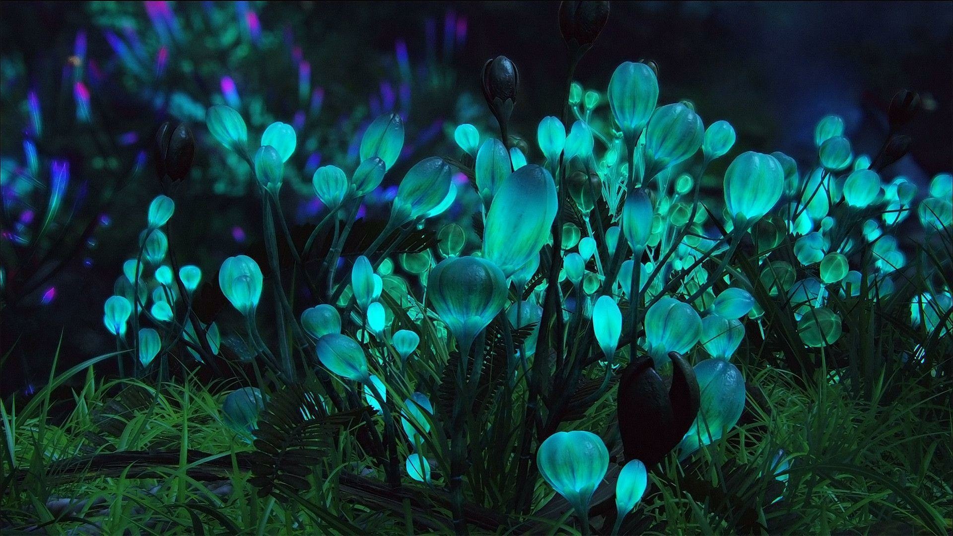 HD PC desktop wallpaper featuring glowing bioluminescent plants from the movie Avatar, creating a vibrant and otherworldly forest scene.