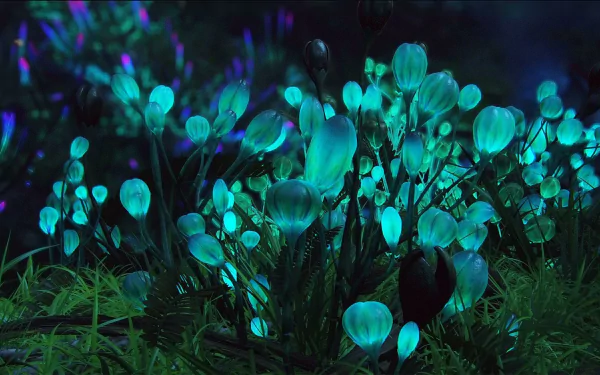 HD PC desktop wallpaper featuring glowing bioluminescent plants from the movie Avatar, creating a vibrant and otherworldly forest scene.
