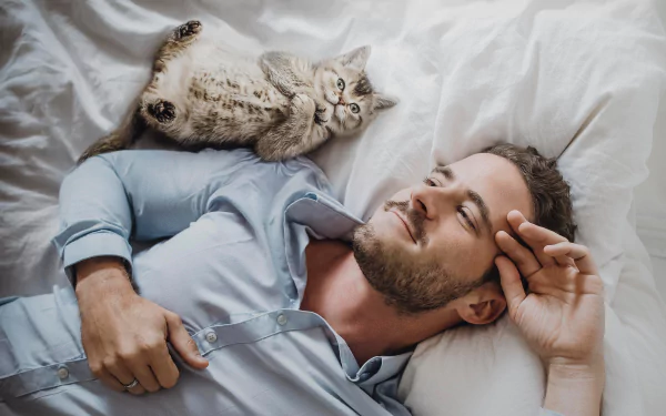 A bearded man model lies on a bed with a relaxed smile, while a cat stretches out beside him, captured in an HD PC desktop wallpaper and background.
