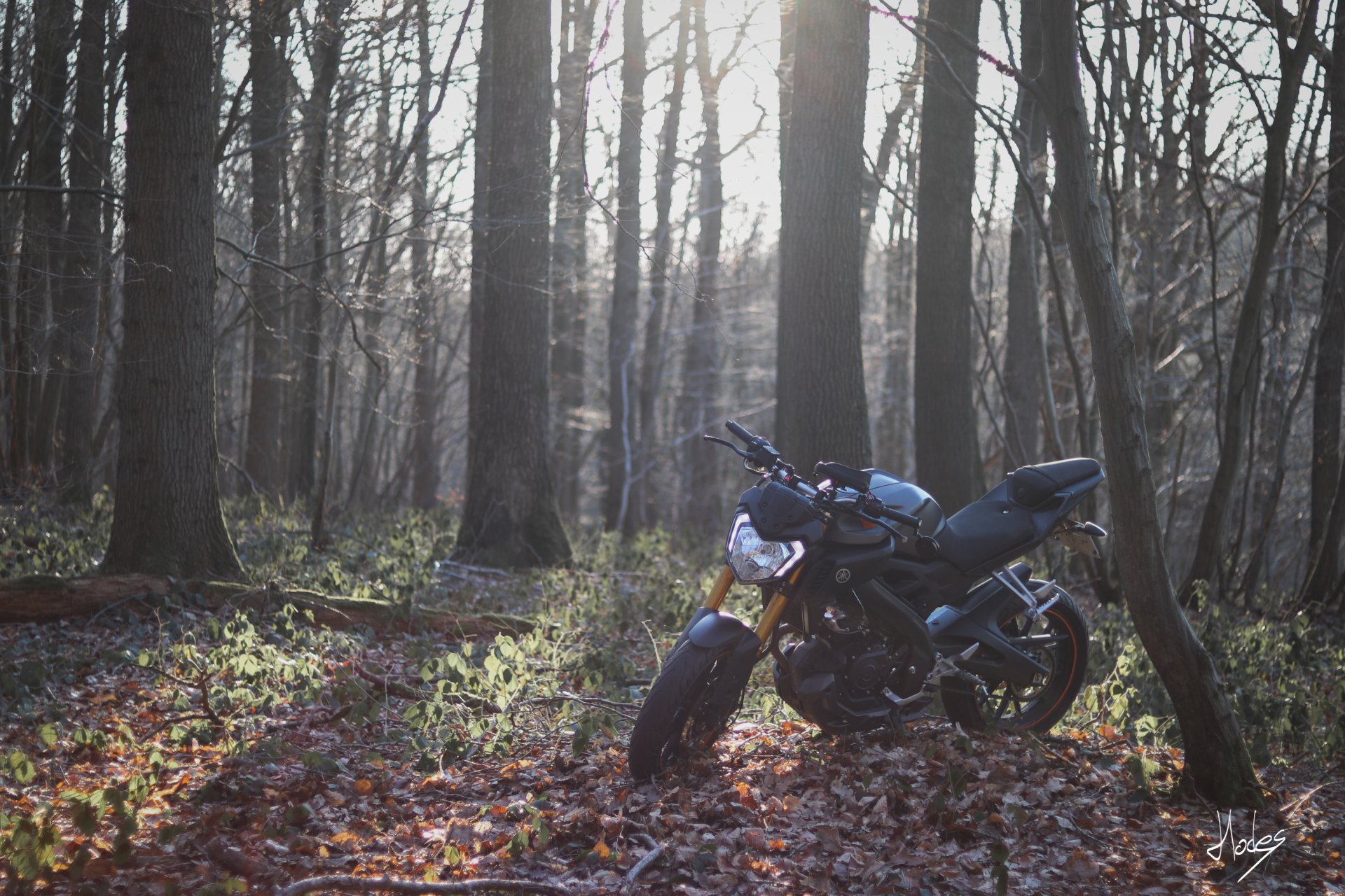 Download Vehicle Yamaha HD Wallpaper