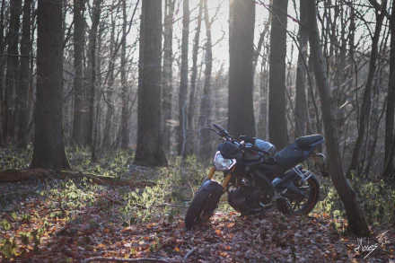 vehicle Yamaha HD Desktop Wallpaper | Background Image