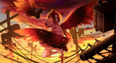 Aya Shameimaru Anime Touhou HD Desktop Wallpaper | Background Image