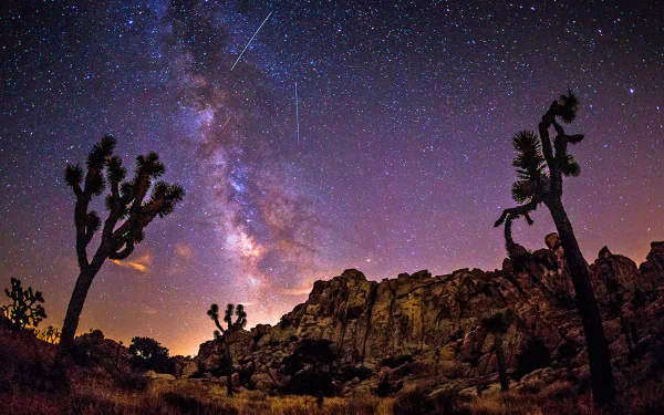 A starry night sky with the Milky Way visible above Joshua Trees and rocky desert landscape in Joshua Tree National Park.