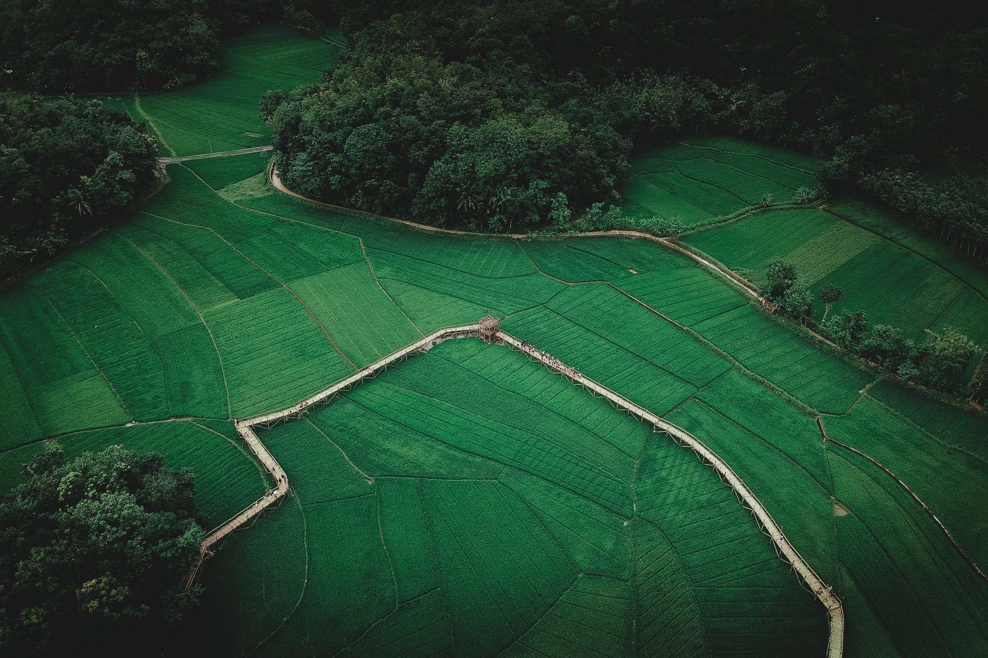 Aerial view of man-made farm terraces and winding paths through vivid green fields and forest, 4K Ultra HD PC desktop wallpaper/background.