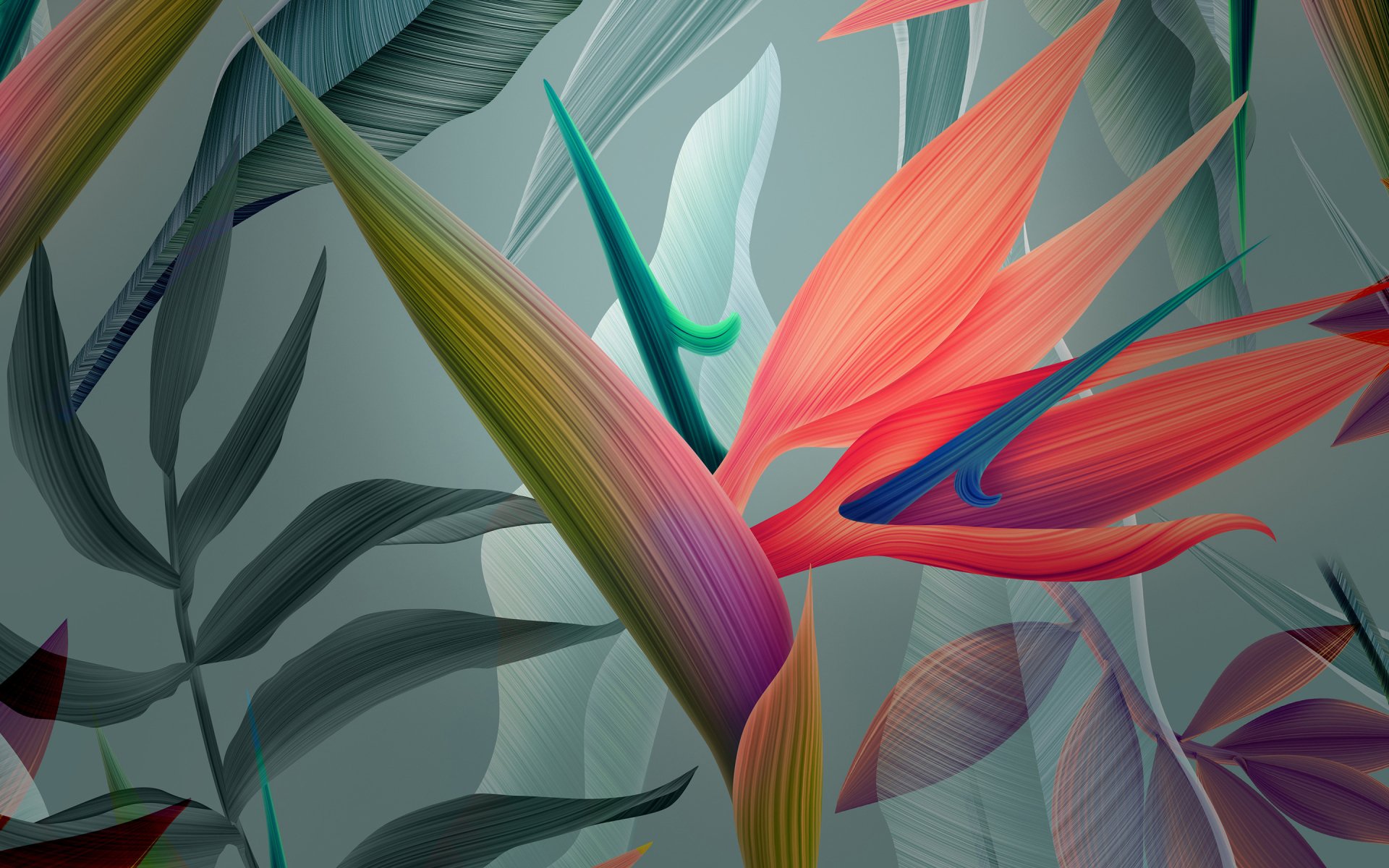 Download Bird Of Paradise Artistic Flower HD Wallpaper