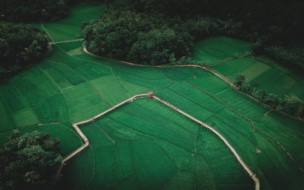 field aerial man made farm HD Desktop Wallpaper | Background Image