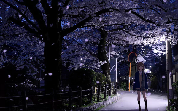 spring cherry blossom Anime Original Spring Anime HD Desktop Wallpaper | Background Image