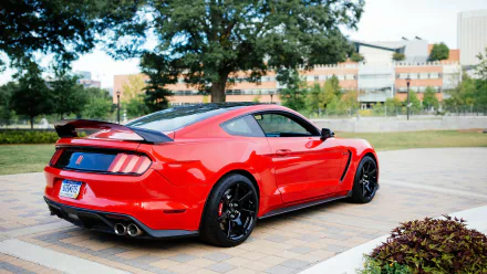  Ford Mustang Shelby GT-350