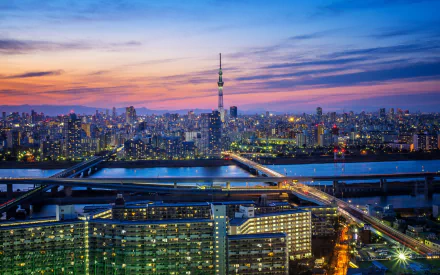 Nighttime cityscape of Tokyo featuring the illuminated Tokyo Skytree, river, bridges, and skyscrapers, showcasing Japan's vibrant urban environment.