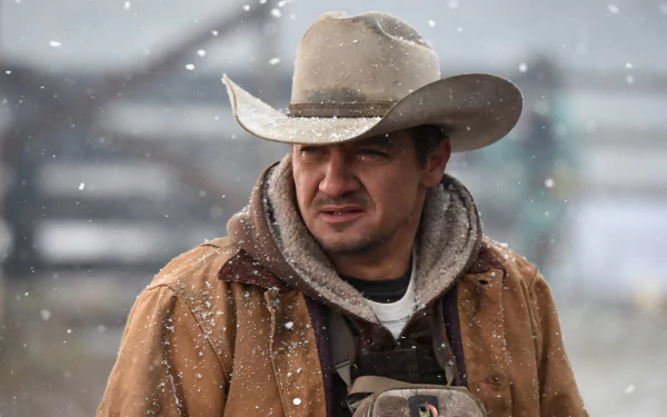 Jeremy Renner movie Wind River HD Desktop Wallpaper | Background Image