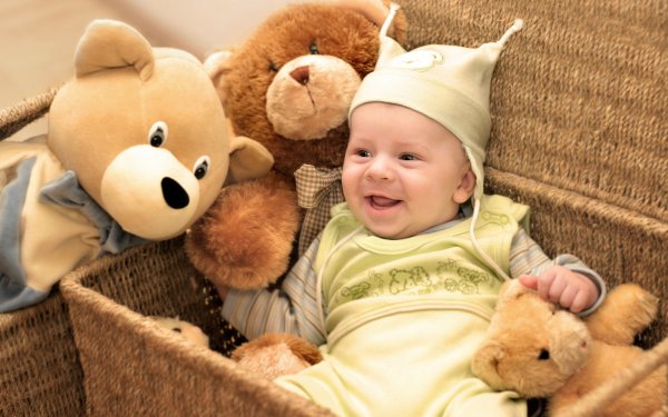 Photography Baby Stuffed Animal Teddy Bear HD Wallpaper | Background Image