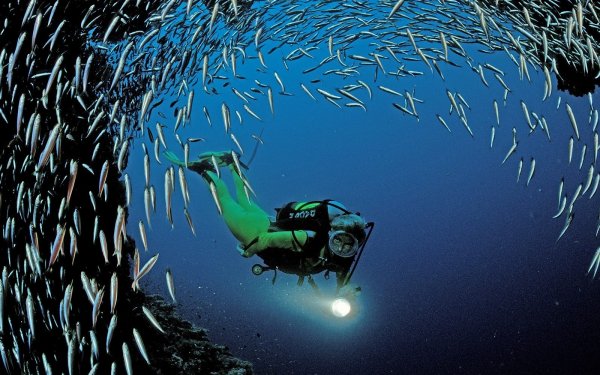 17 Scuba diving HD Wallpapers | Background Images - Wallpaper Abyss
