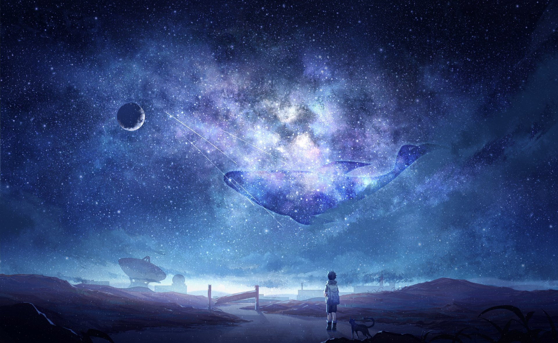 An HD anime wallpaper featuring a starry night sky with a whale constellation, a child, and a cat gazing up, creating a surreal, celestial scene. Tags include star, sky, whale, night, cat, and child.