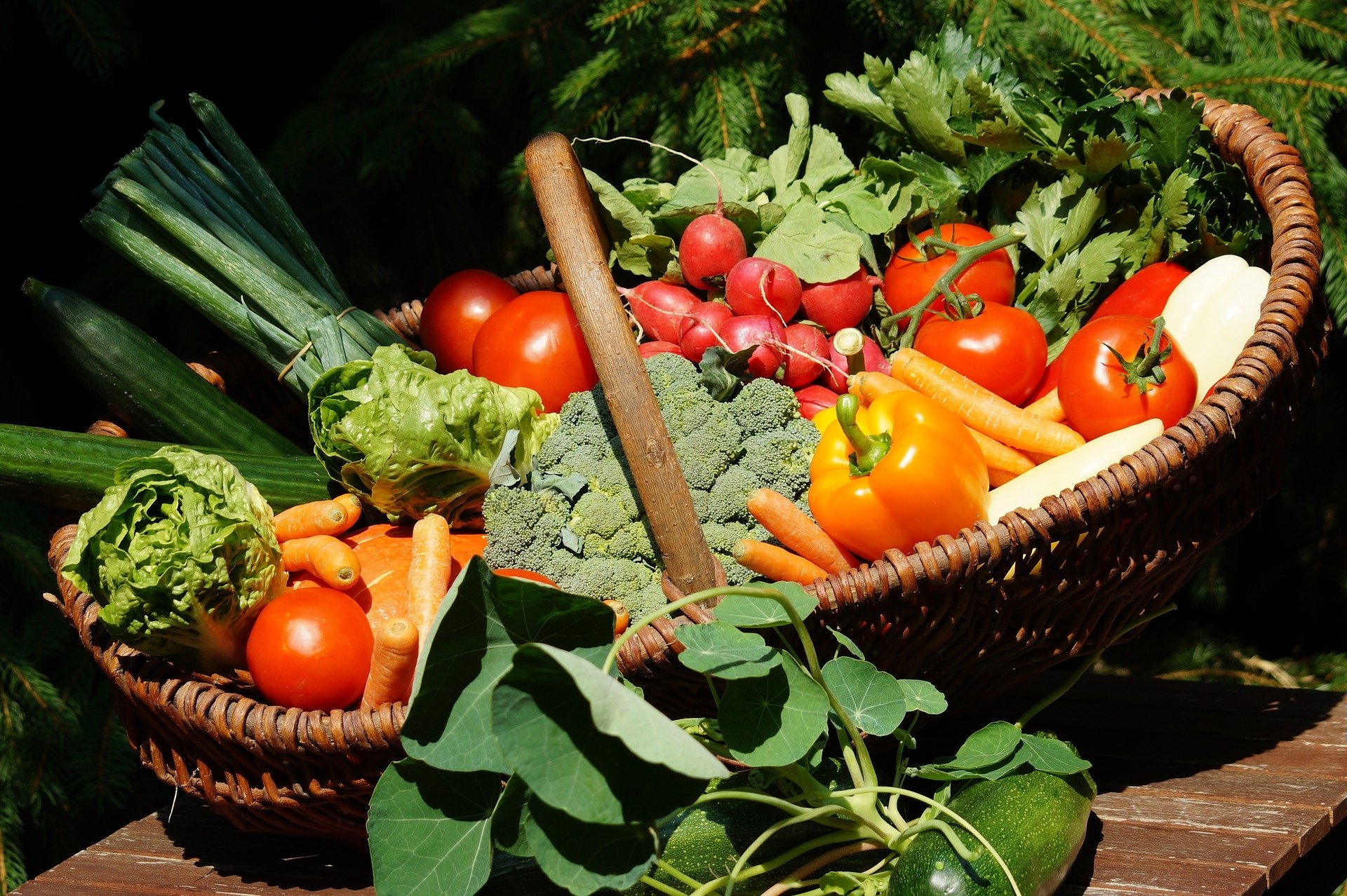 Download Capsicum Tomato Basket Vegetable Food HD Wallpaper by Sven Hilker