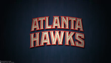  Atlanta Hawks Basketball team by Michael Tipton