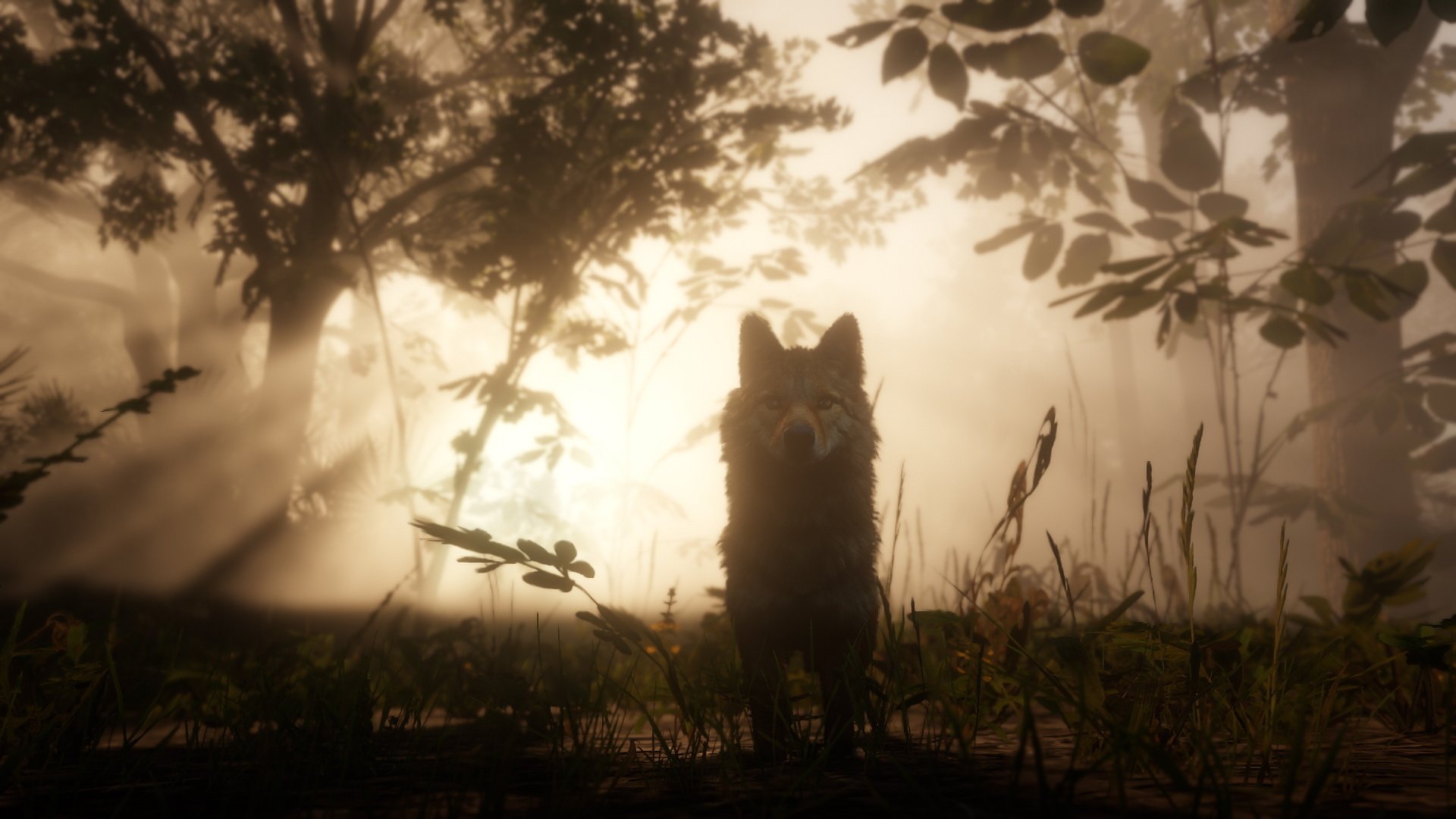 Video game - Red Dead Redemption 2 HD PC desktop wallpaper and background: silhouette of a wolf-like dog in a misty forest with sunbeams filtering through the trees.