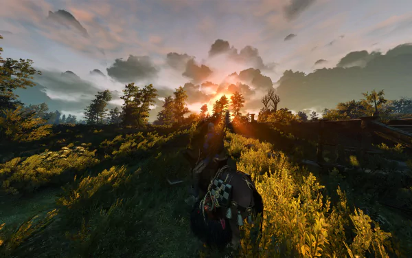 Geralt of Rivia rides through a sunlit forest in this 8K Ultra HD PC desktop wallpaper from the video game The Witcher 3: Wild Hunt.