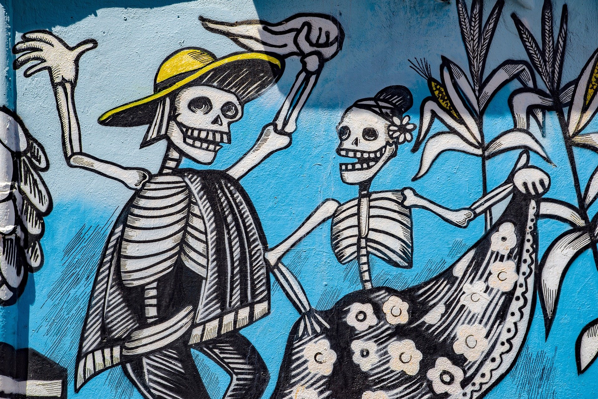 Day Of The Dead Street Art Hd Wallpaper Background Image