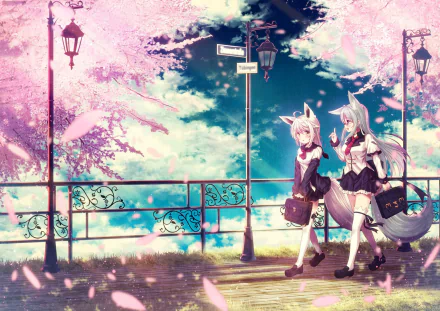 Anime-style HD desktop wallpaper featuring two white-haired characters with brown eyes, glasses, tails, and bags walking under cherry blossoms by ornate lamps.