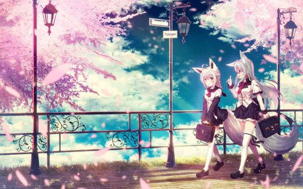 Anime-style HD desktop wallpaper featuring two white-haired characters with brown eyes, glasses, tails, and bags walking under cherry blossoms by ornate lamps.