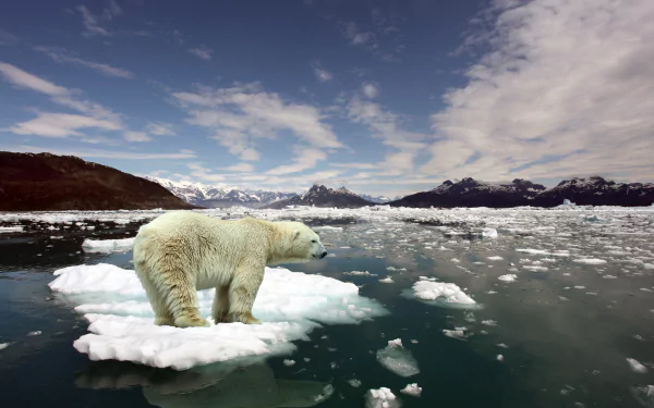 4K Ultra HD desktop wallpaper featuring a polar bear standing on a small ice floe surrounded by icy waters and snow-covered mountains under a partly cloudy sky.