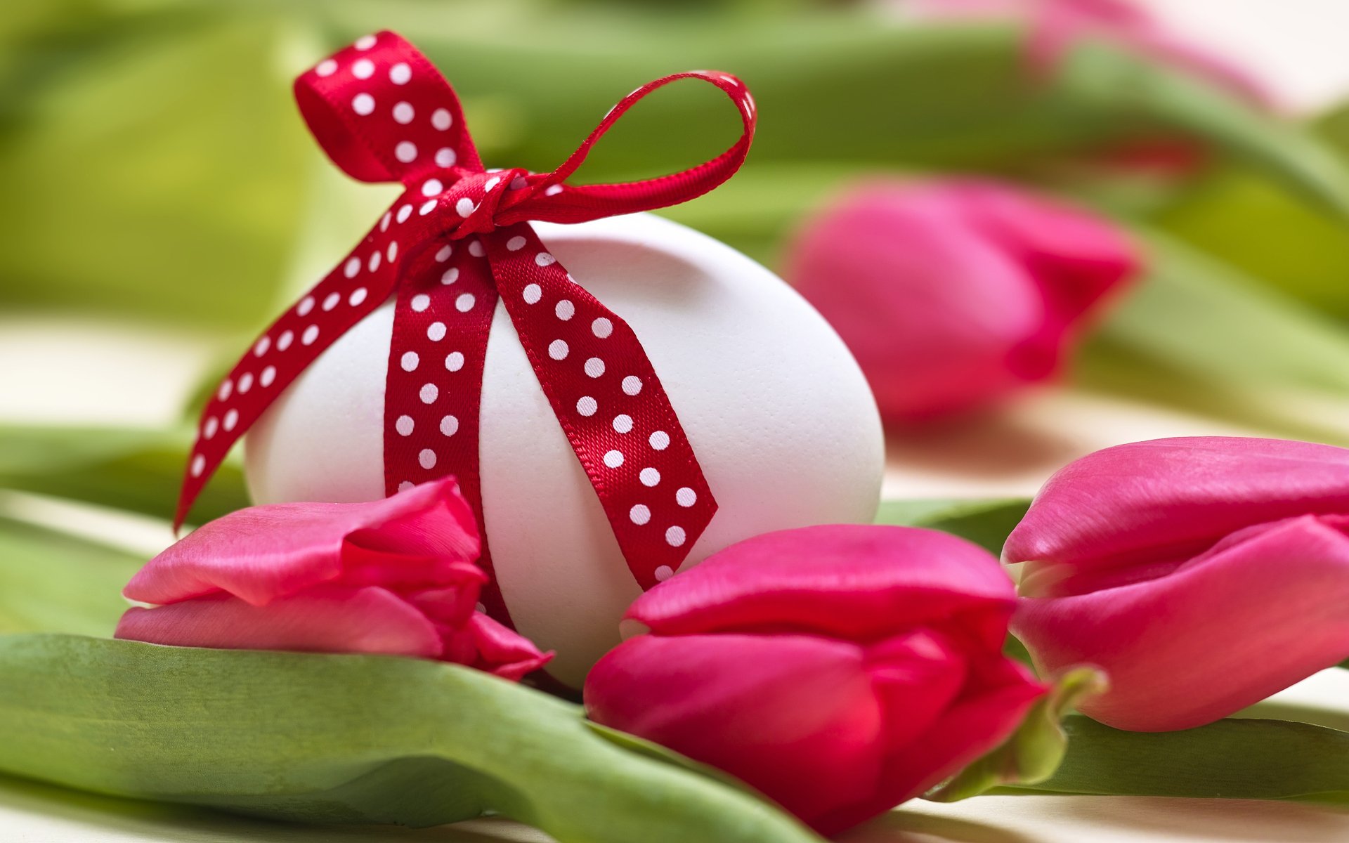 A white Easter egg adorned with a red polka dot ribbon, surrounded by vibrant pink tulips, captured in 4K Ultra HD as a festive PC desktop wallpaper.