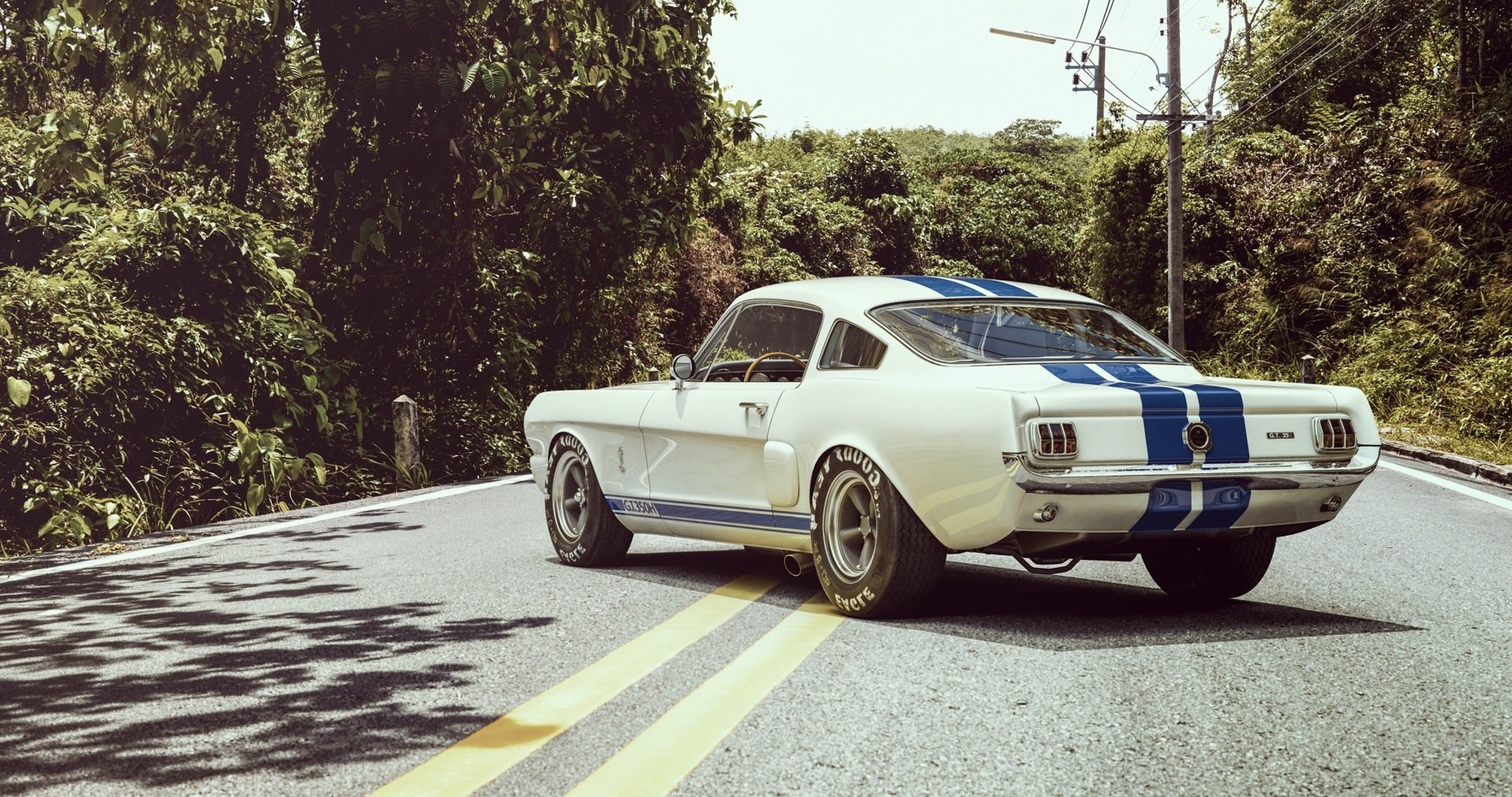 1966 Shelby GT350 Hertz