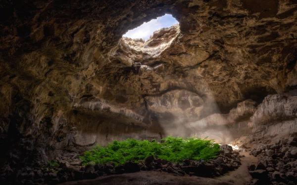 Sunbeams illuminate lush greenery inside a rocky cave, captured in stunning 4K Ultra HD, showcasing nature’s hidden beauty.