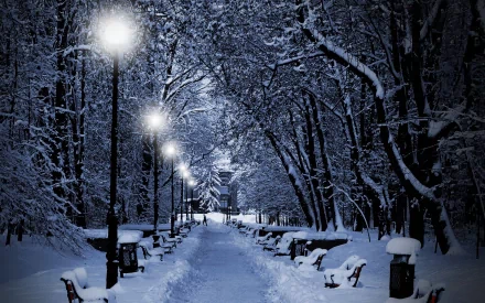 A serene winter landscape featuring a snow-covered pathway lined with benches and softly glowing lampposts, capturing the tranquil beauty of nature in a winter setting.