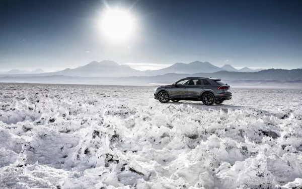 silver car SUV car Audi vehicle Audi Q8 HD Desktop Wallpaper | Background Image