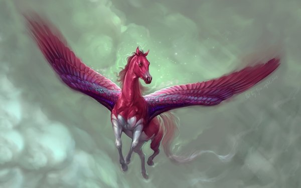Fantasy Pegasus Fantasy Animals Wings HD Wallpaper | Background Image