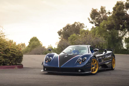 Blue Pagani Zonda car, a supercar with gold wheels, parked on a sunlit road framed by trees, HD PC desktop wallpaper background showcasing a Pagani vehicle.
