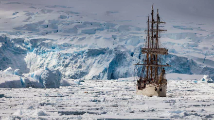  The Europa