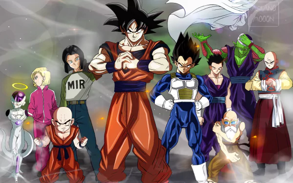 HD desktop wallpaper featuring characters from Dragon Ball Super, including Goku, Vegeta, Piccolo, Gohan, Tien Shinhan, Master Roshi, Android 17, Krillin, Android 18, and Frieza, in an action-packed scene.